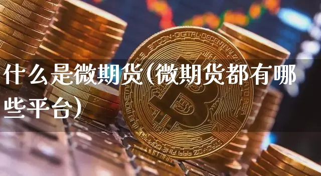 什么是微期货(微期货都有哪些平台)_https://www.erdeww.com_期货知识_第1张